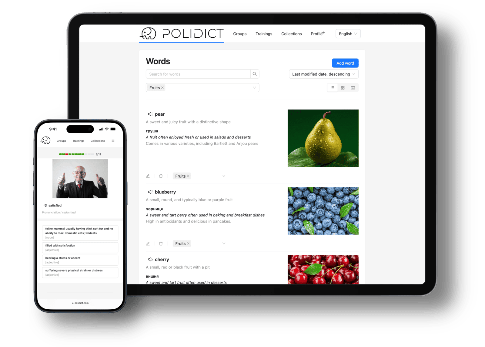 Polidict for iPhone: offline learning, trainings, and the full vocabulary workflow