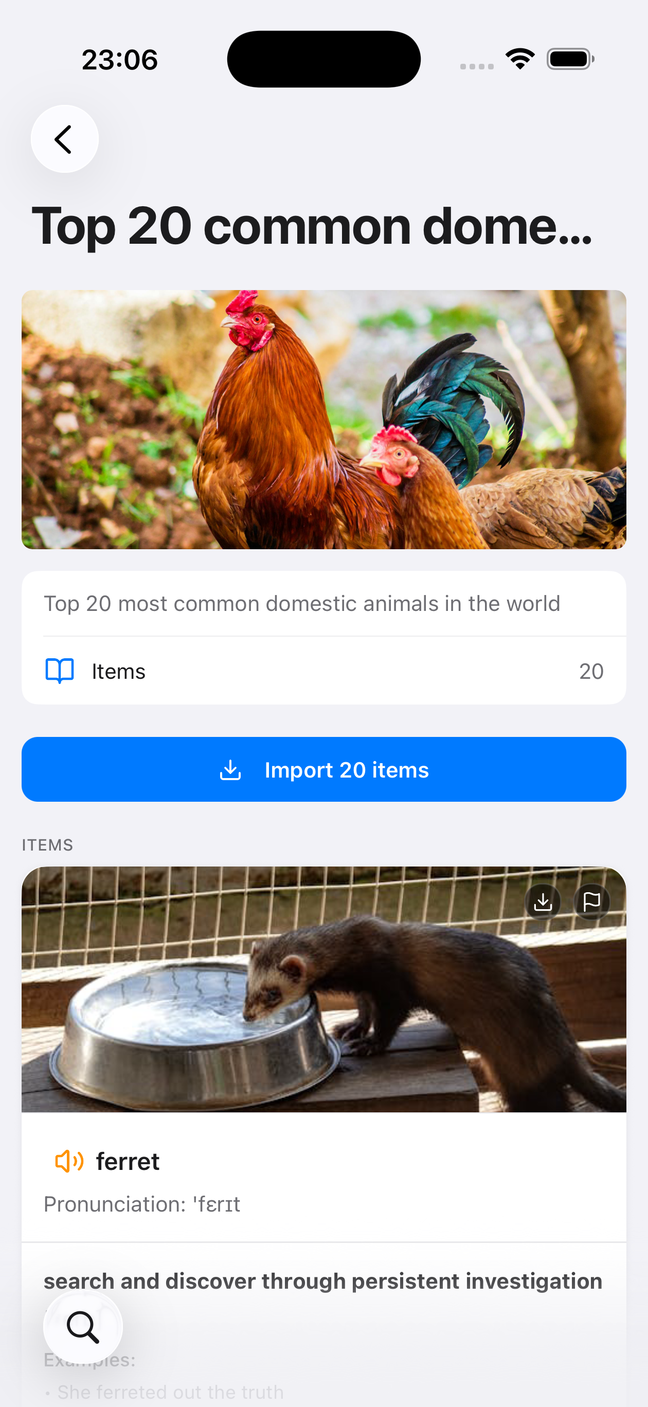 Деталі добірки з переліком
слів і кнопкою імпорту