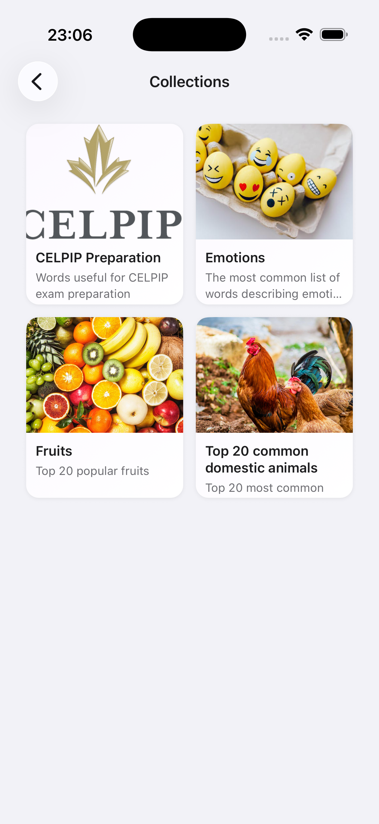 Екран добірок з тематичними наборами
слів