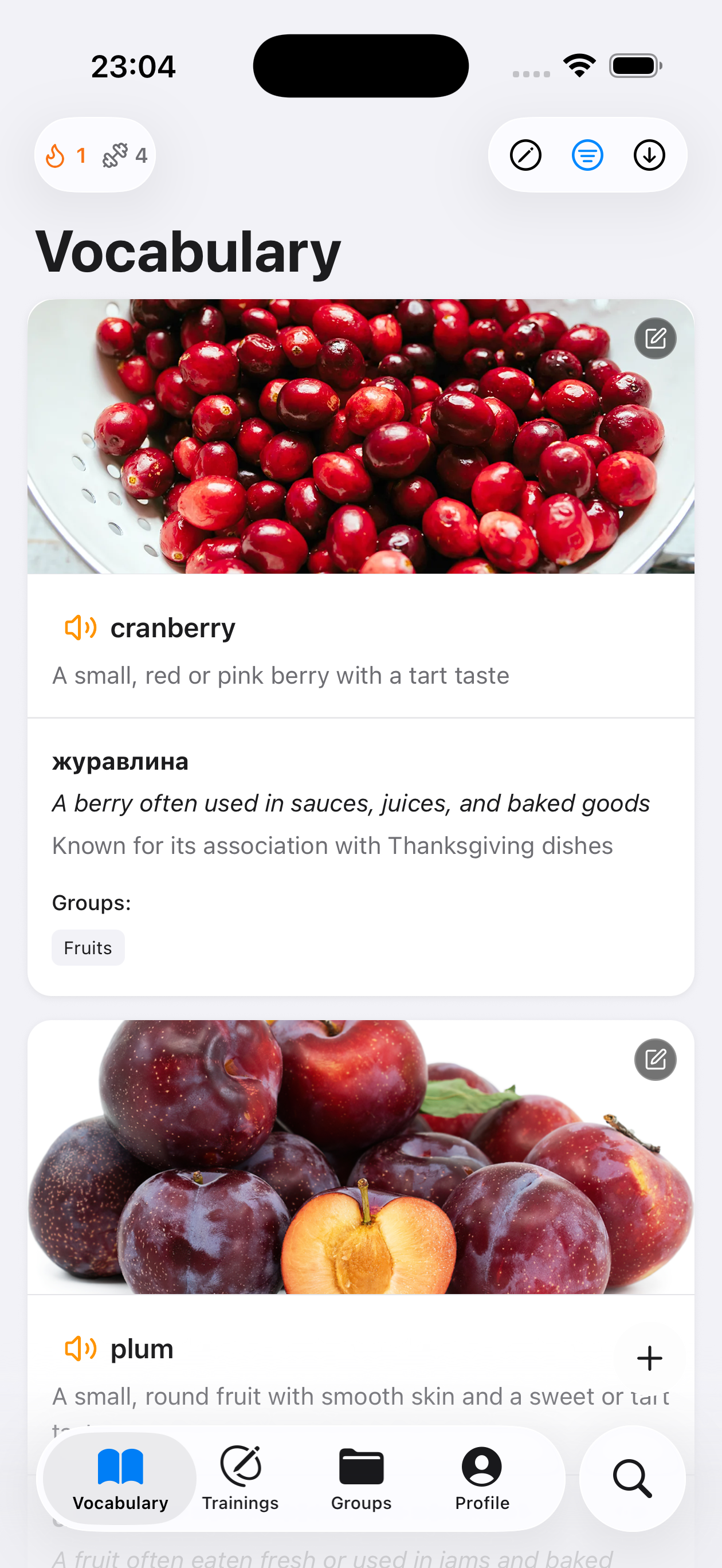 Екран словника з картками слів, зображеннями і визначеннями