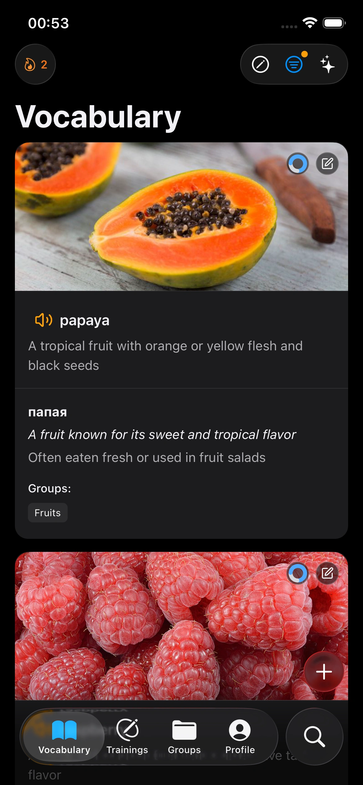 Polidict iOS app showing vocabulary flashcard training