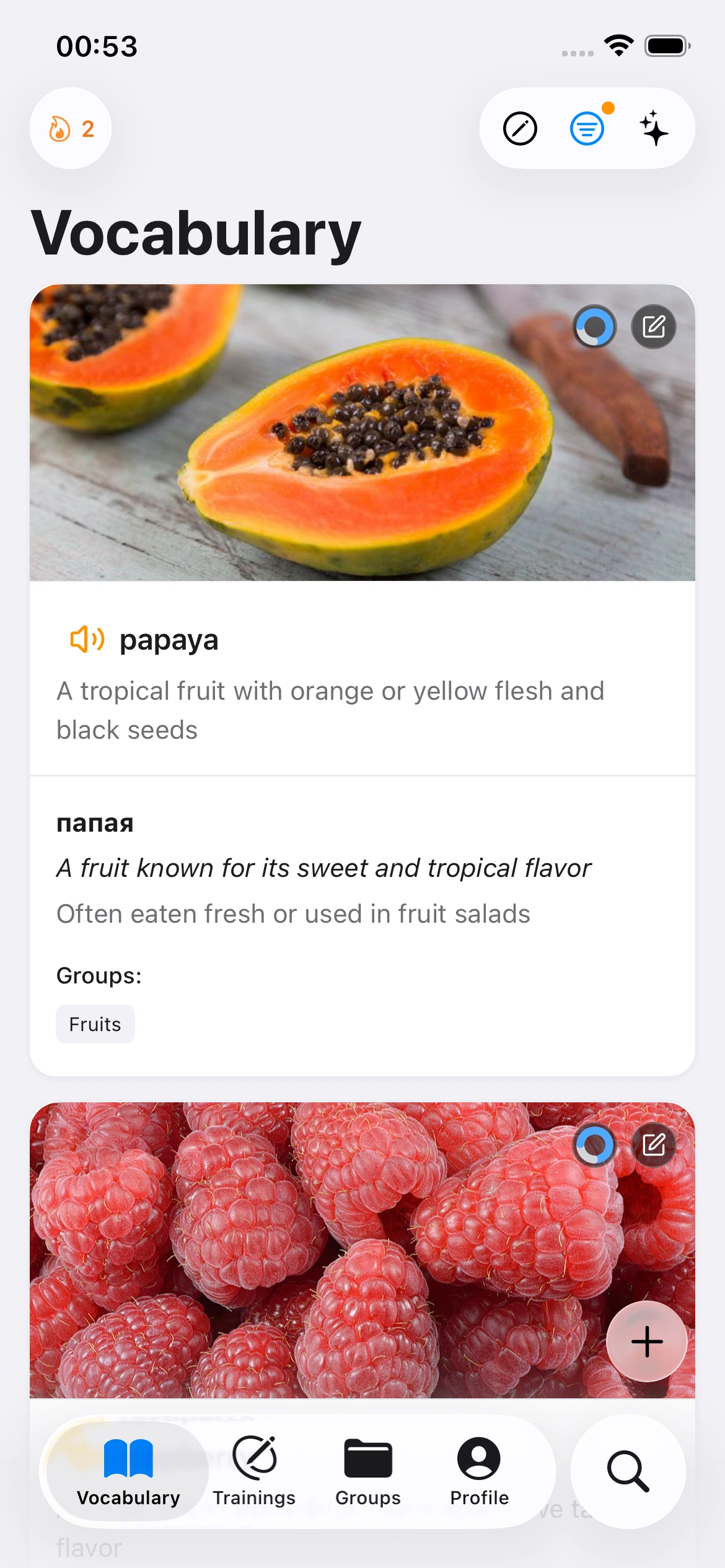 Polidict iOS app showing vocabulary flashcard training